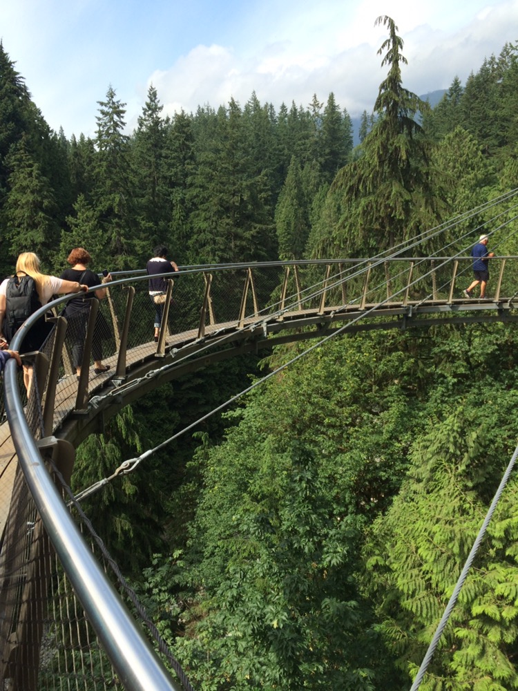 Vancouver, Grouse Mountain - Suspension Bridge Park